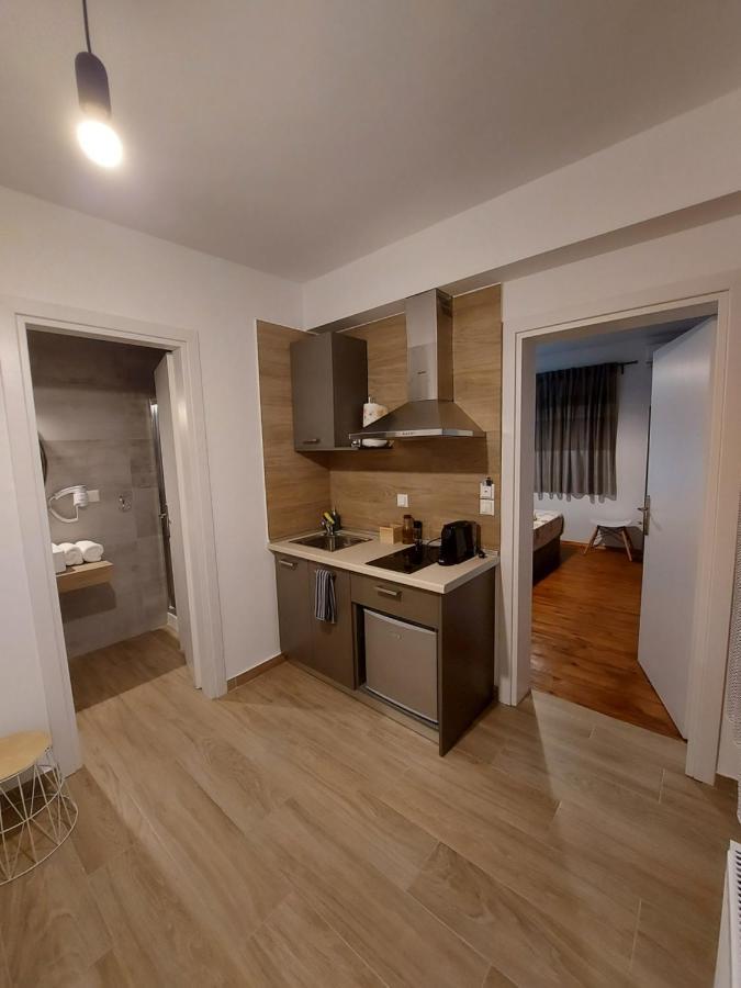 Apartament Enjoy Meteora One Kalambaka Zewnętrze zdjęcie